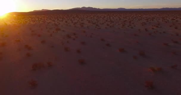 Gün Doğumunda Günbatımında Mojave Çölü Nün Üzerinde Hareket Eden Güzel — Stok video