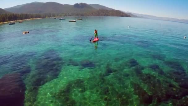 Disparo Aéreo Sobre Una Tabla Remos Remando Lago Tahoe — Vídeos de Stock