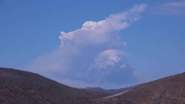 当野火熊熊燃烧时 一缕烟在巨大的蘑菇云中升起 — 图库视频影像