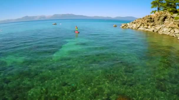 Colpo Aereo Una Donna Suo Cane Paddle Boarding Sul Lago — Video Stock