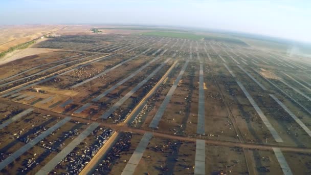 리포오니아 목장과 도살장 상공에서 비행기로 — 비디오