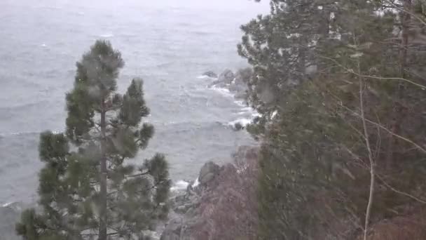 Oslepující Sněhová Bouře Udeří Horách Sierra Nevada Jezera Tahoe — Stock video