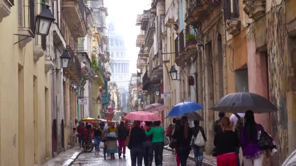 Menschenmassen Gehen Regen Durch Die Straßen Alt Havannas — Stockvideo