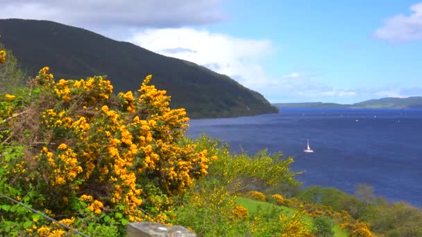 Disparo Loch Ness Escocia — Vídeos de Stock