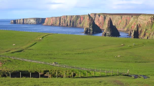 Όμορφη Θάλασσα Duncansby Head Στοίβες Στη Βόρεια Σκωτία — Αρχείο Βίντεο