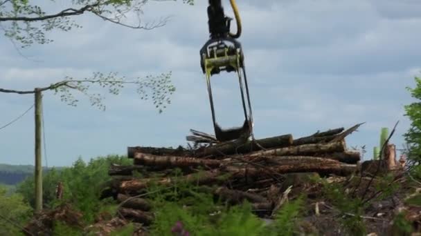 Eine Klaue Lädt Bauholz Auf Einen Sattelschlepper Einem Abgeholzten Gebiet — Stockvideo