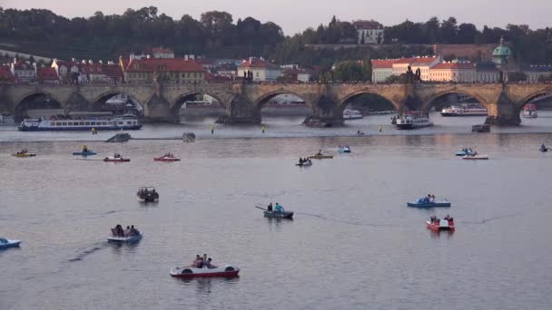Paddleboats Κινούνται Στον Ποταμό Vltava Στην Πράγα Της Τσεχίας — Αρχείο Βίντεο