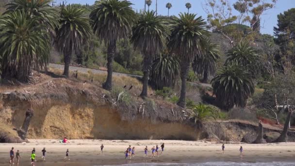 孩子们在加利福尼亚圣巴巴拉附近的避难国海滩上跑着 — 图库视频影像