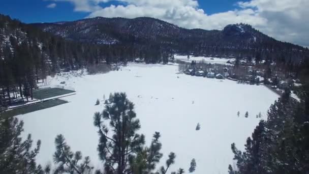Взимку Над Сосновими Деревами Відкривається Вкритий Снігом Берег Озера Тахо — стокове відео