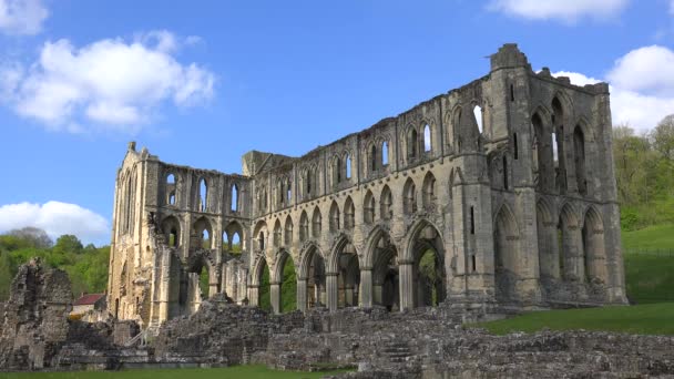 Rievaulx Abbey Ngiltere Deki Terk Edilmiş Katedralini Gösteren Bir Çekim — Stok video