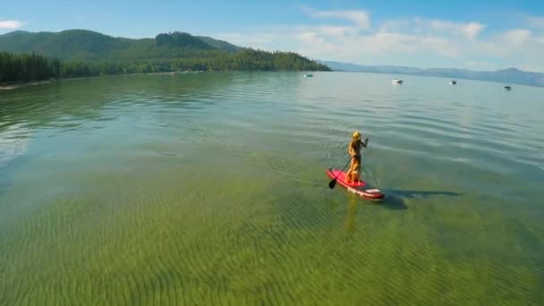 Een Antenne Opname Van Een Vrouw Haar Hond Paddle Boarding — Stockvideo