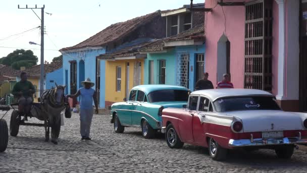 Красивый Снимок Зданий Мощеных Брусчаткой Улиц Тринидада Куба Проезжающими Конными — стоковое видео