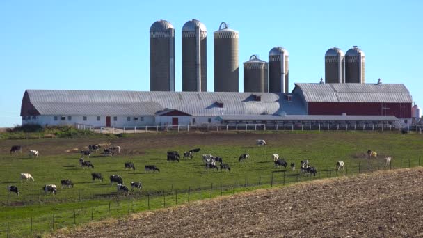 Belo Tiro Estabelecimento Uma Fazenda Leiteira Wisconsin — Vídeo de Stock