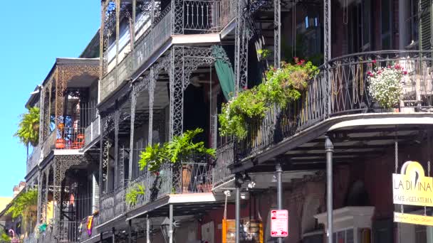 Metallbalkonger Och Hängande Växter Franska Kvarteren New Orleans — Stockvideo