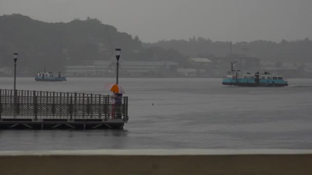 Les Amoureux Embrassent Sous Parapluie Dans Port Havane Cuba — Video