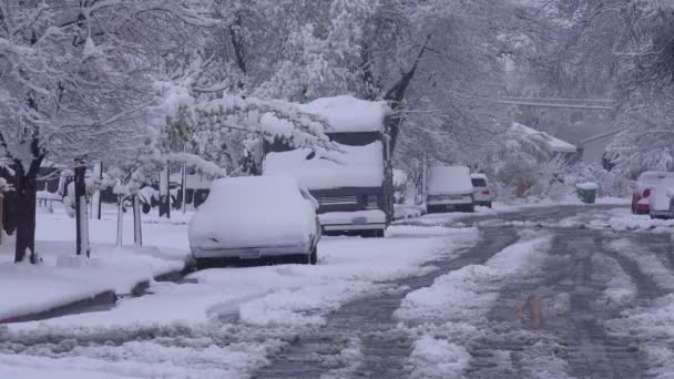 Μια Γειτονιά Χιονίζει Κατά Διάρκεια Μιας Μεγάλης Χειμερινής Καταιγίδας — Αρχείο Βίντεο