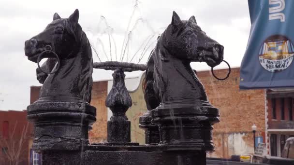 Horse Head Fountains Selma Alabama — Stock Video