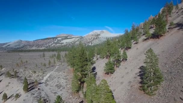 高空拍摄的松树山脊上的照片揭示了内华达山脉东部的莫诺火山锥 — 图库视频影像