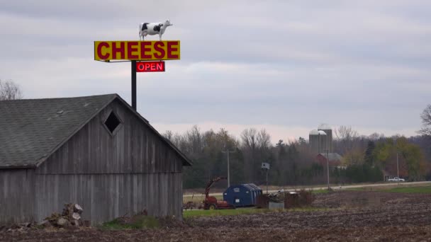 Einspielung Einer Bäuerlichen Käserei Wisconsin — Stockvideo