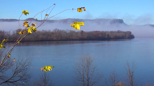 Золоте Осіннє Листя Вздовж Скель Річки Міссісіпі Кордоні Штату Айова — стокове відео