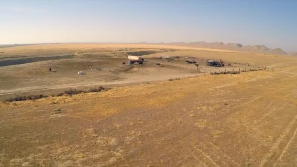 Eine Antenne Von Freilandrindern Trockenem Wüstenland — Stockvideo