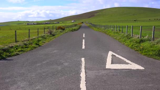 Empty Road Leads Brilliant Green Fields Orkney Islands Scotland — Stock Video