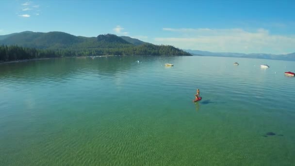 Una Toma Aérea Una Mujer Perro Remando Lago Tahoe — Vídeo de stock