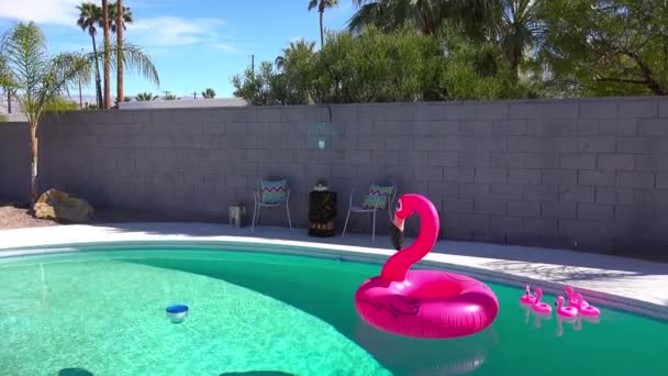 Flamenco Inflable Artificial Flota Una Piscina Una Casa Palm Springs — Vídeos de Stock