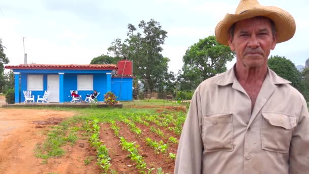 Egy Kubai Farmer Áll Egy Farmház Előtt Egy Dohányfarmon Vinalesben — Stock videók