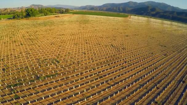 Hermoso Avión Sobre Los Campos Agrícolas California — Vídeo de stock