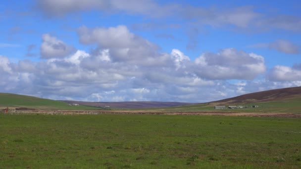 Weitwinkelaufnahme Der Grünen Felder Der Schottischen Orkney Inseln — Stockvideo