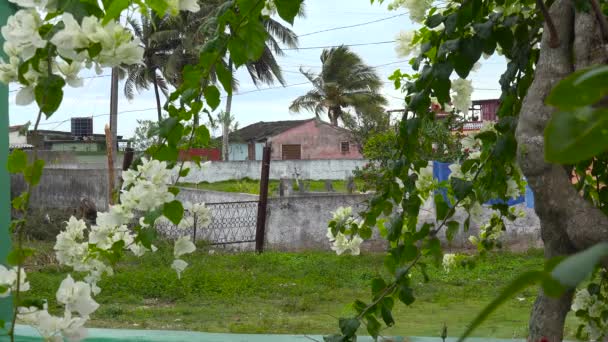 Carro Cavallo Attraversa Piccolo Villaggio Cuba — Video Stock