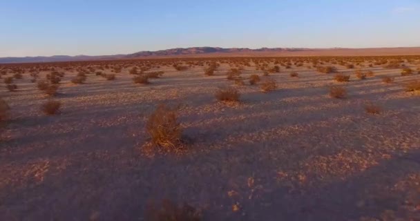 Hermoso Avión Rápido Movimiento Sobre Desierto Mojave Amanecer Atardecer — Vídeos de Stock