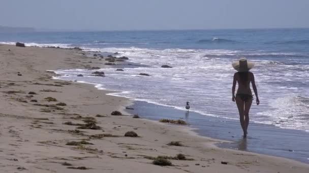 一个戴帽子的女人走在南加州海滩上 — 图库视频影像