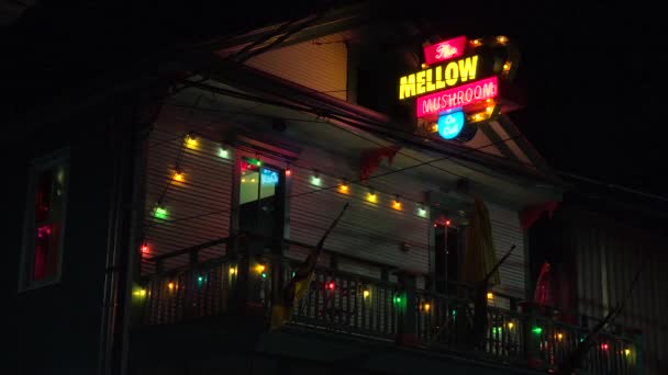 Bar Mellow Mushroom Nueva Orleans — Vídeo de stock