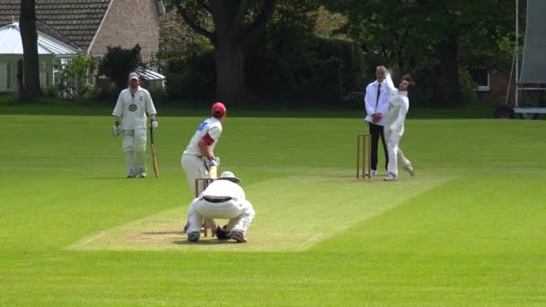 Esporte Críquete Jogado Campo Grama Verde Inglaterra — Vídeo de Stock