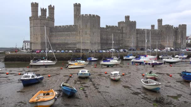 Bellissimo Castello Caernarfon Con Bassa Marea Con Barche Spiaggiate Galles — Video Stock