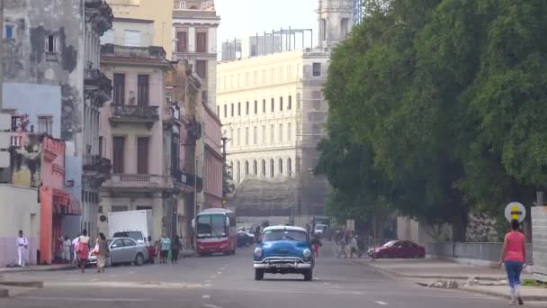 キューバの古いハバナの大通りに沿って古い車の旅 — ストック動画