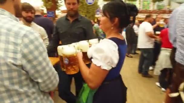 Uma Donzela Cerveja Entrega Braços Cheios Cerveja Oktoberfest Alemanha — Vídeo de Stock