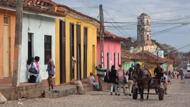 Wózki Konne Zmierzają Brukowcami Ulicami Trynidadu Kubie — Wideo stockowe