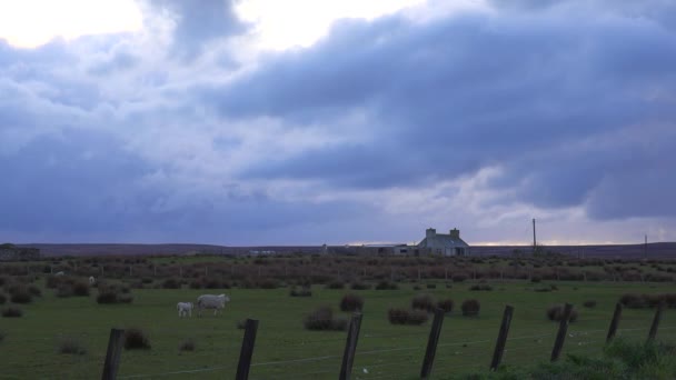 Kuzey Skoçya Yaklaşan Fırtına Sırasında Bir Çiftlikte Kara Bulutlar Oluşur — Stok video