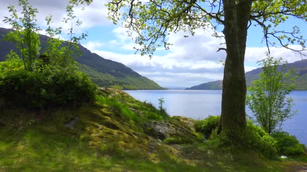 Bonito Tiro Loch Lomand Escocia — Vídeo de stock