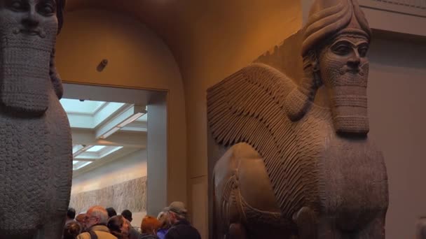 Famose Sculture Antiche Manufatti Scavati Nimrud Iraq Ora Nel British — Video Stock