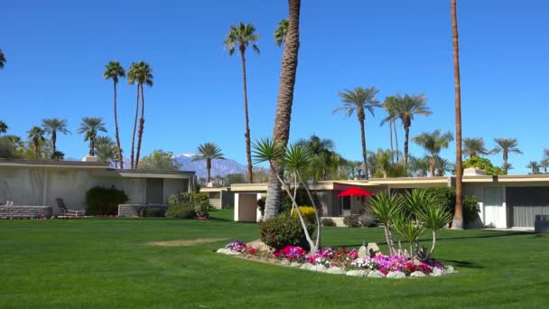Criação Complexo Condomínios Palm Springs Califórnia — Vídeo de Stock