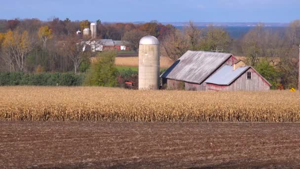 Ampla Foto Fazendas Wisconsin Fazendas Celeiros Door County — Vídeo de Stock