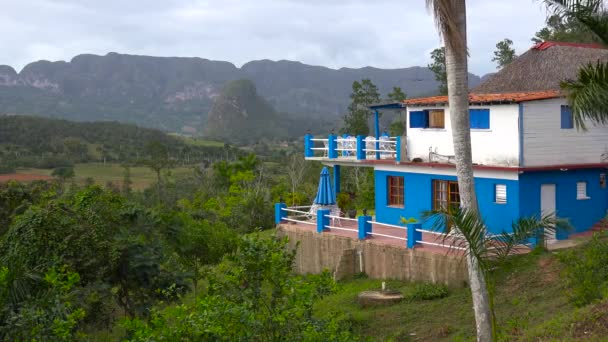 キューバのジャングルの中の魅力的な家や不動産 — ストック動画