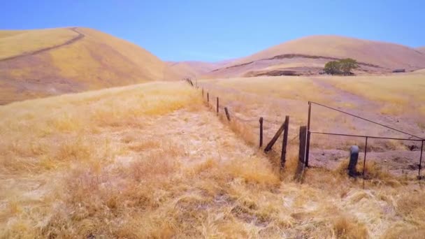 Uma Antena Sobre Pincel Amarelo Cobriu Colinas Rolantes Califórnia Central — Vídeo de Stock