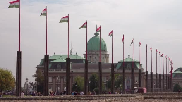 Bandeiras Húngaras Voam Perto Castelo Buda Palácio Budapeste Hungria — Vídeo de Stock