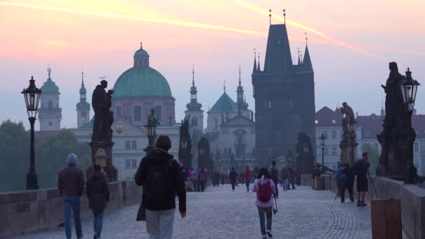 Klassiskt Gryningsljus Statyer Karlsbron Prag Tjeckien — Stockvideo