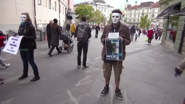 Maskovaný Demonstrant Ulicích Evropy Protestuje Proti Nelidskému Zacházení Dojnicemi — Stock video